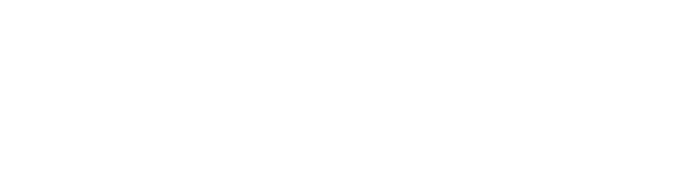 Vault Net Logo